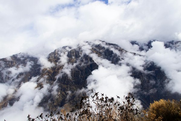Pourquoi choisir Royal Caribbean pour votre voyage de noces